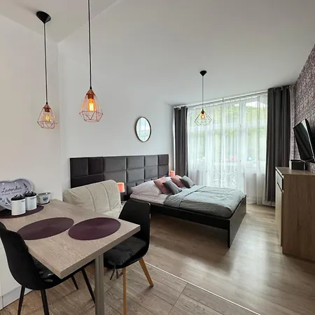 Przy Deptaku Apartment Krynica Zdroj